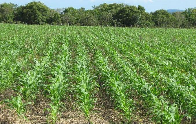 Ciclo de reuniões em Petrolândia vai tratar sobre regras do Proagro e acesso ao programa Terra Boa