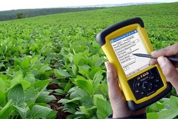 Coleta de dados para o Censo Agropecuário chega à fase final na Região da Cebola