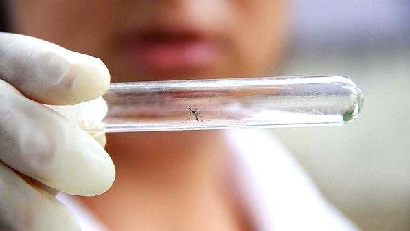 Confirmado primeiro caso de dengue em Ituporanga 