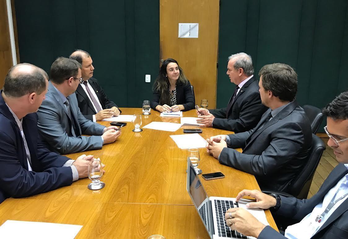 Deputado reforça pedido para que cebola seja incluída em lista de exceção 