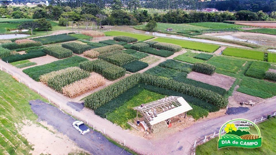 Dia de Campo Cravil apresenta novidades em culturas de grãos no Alto Vale do Itajaí