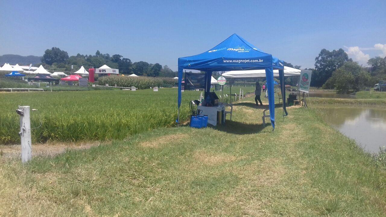 Dia de Campo Cravil reúne quase três mil pessoas