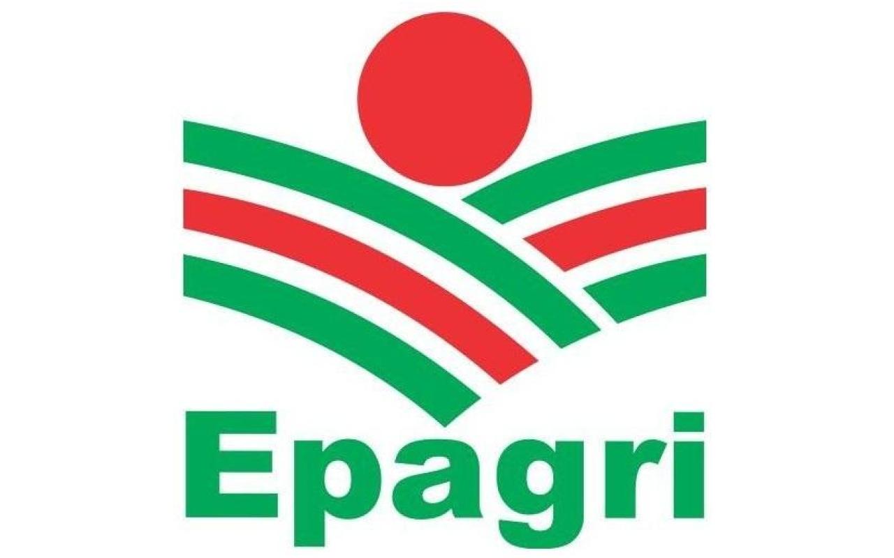 Epagri de Ituporanga lança nova oportunidade para os agricultores