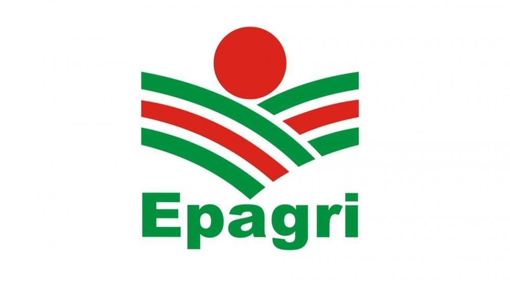 Epagri de Ituporanga promove Dia de Campo 