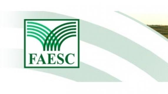 Faesc realiza encontro regional em Ituporanga 