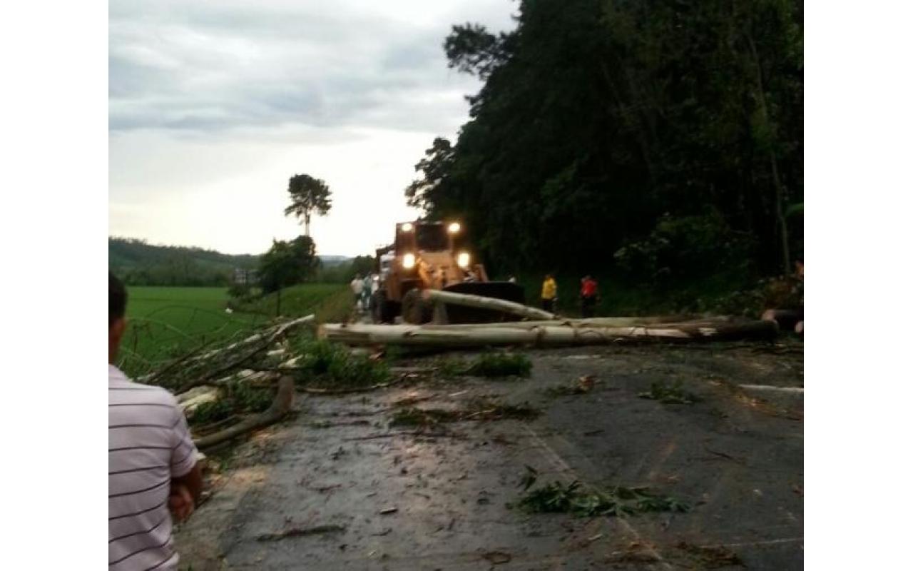 Temporal causa estragos no Vale do Itajaí e deixa 14 cidades sem energia