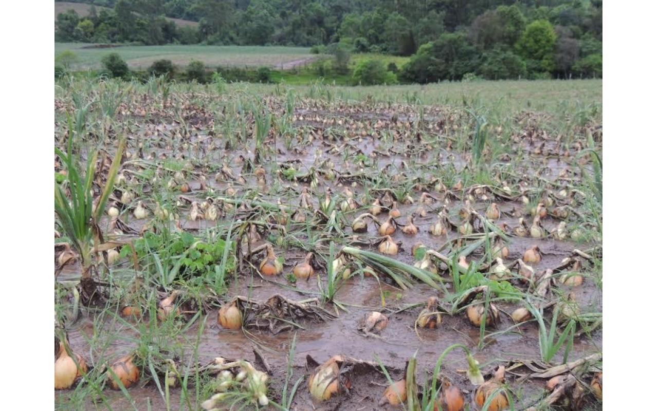 Fortes chuvas deixam R$ 94 milhões de prejuízos em Ituporanga 