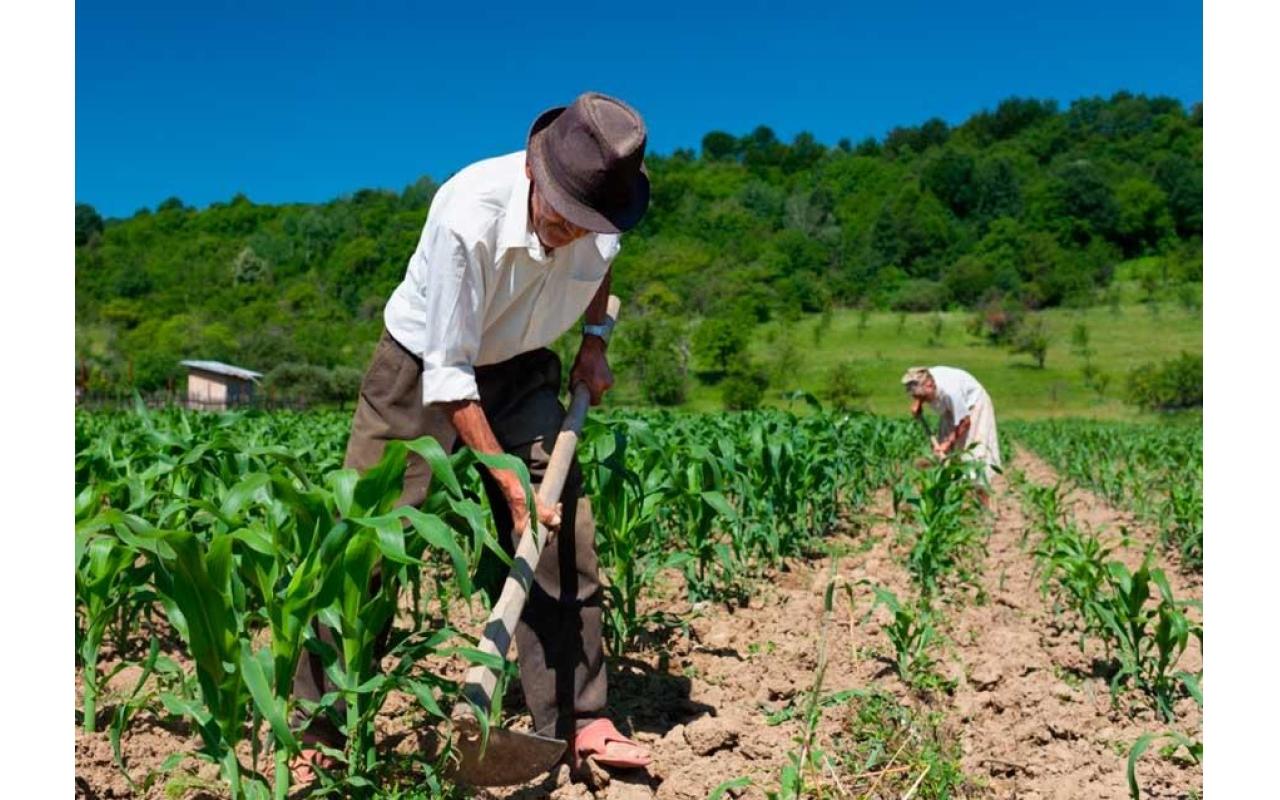 Governo Federal estuda possibilidade de aposentadoria especial para agricultores