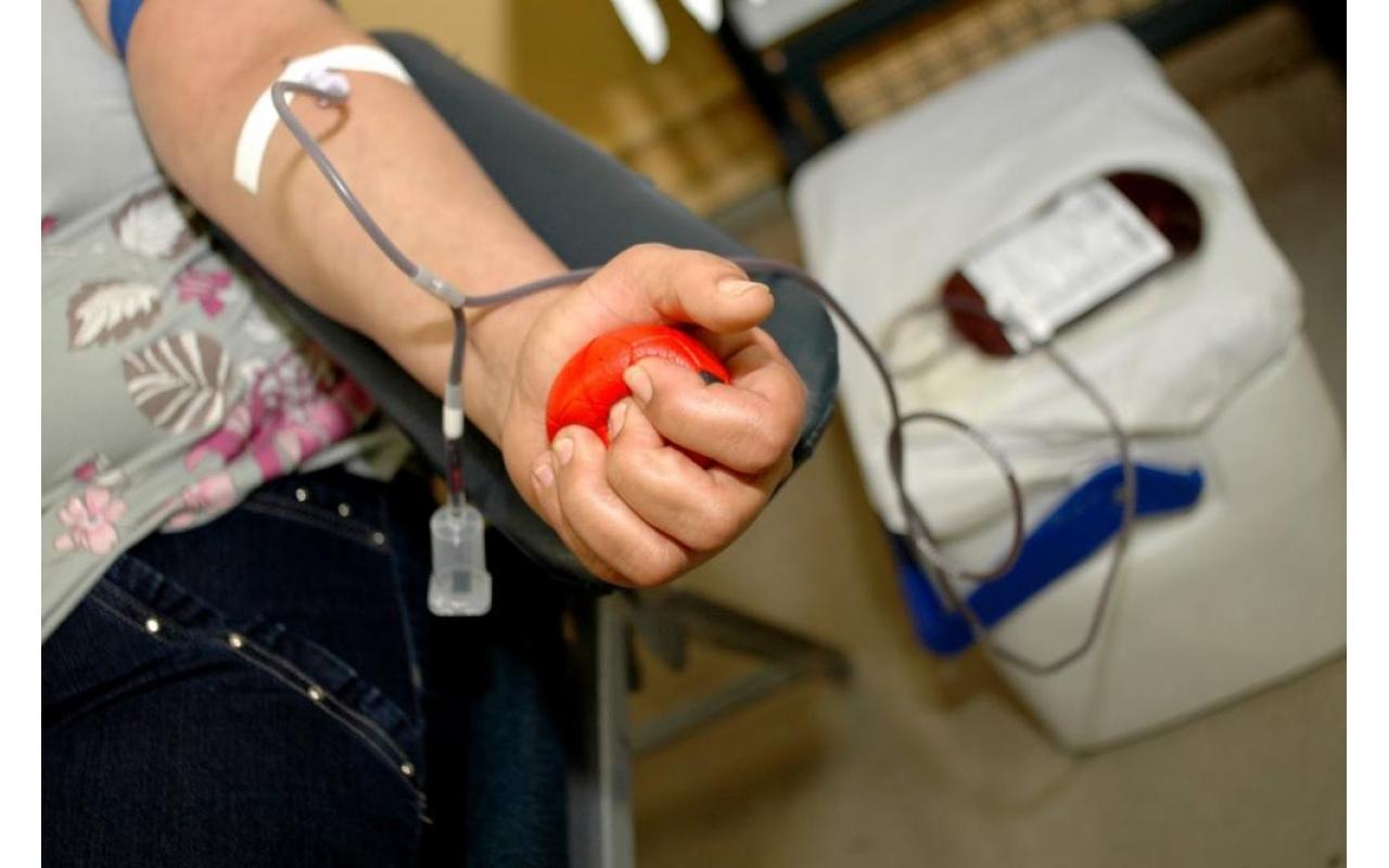 Hemosc de Lages fará campanha de Doação de Sangue em Rio do Sul nesta terça-feira (18)