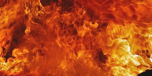Incêndios em estufas: Bombeiros dão dicas sobre como evitá-los