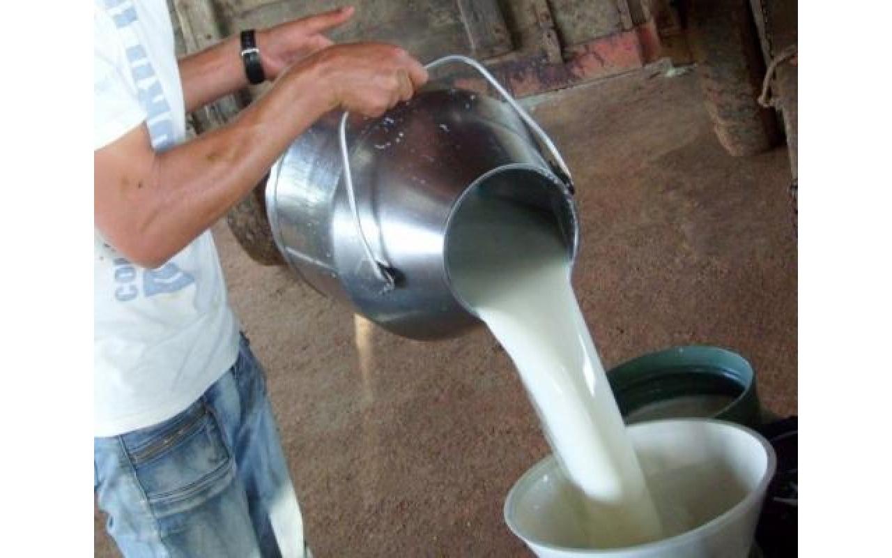 Ituporanga realiza nessa semana reunião pra discutir qualidade na produção de leite