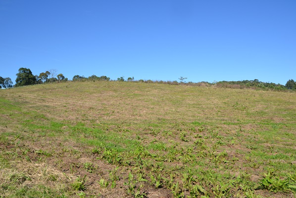 Liberada licença ambiental para instalação do cemitério municipal de Imbuia