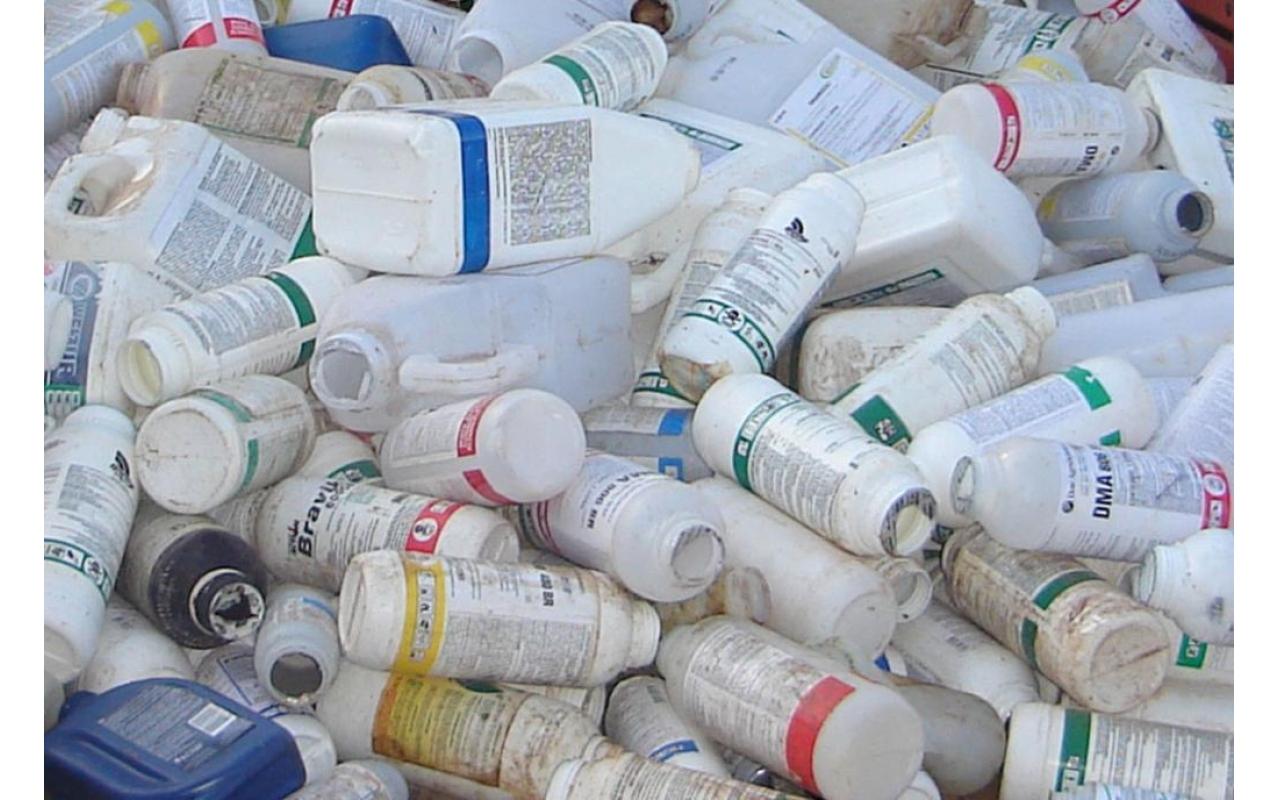 Mais de 180 mil embalagens de agrotóxicos foram recolhidas na Região da Cebola