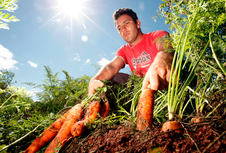 Mais de mil agricultores aderem a Nota Fiscal Eletrônica em Ituporanga