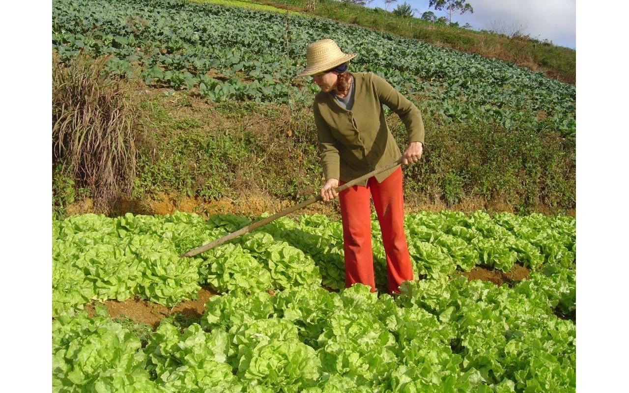 Mulheres sindicalistas de Santa Catarina participam de plenária nacional em luta pelos direitos das mulheres trabalhadoras rurais