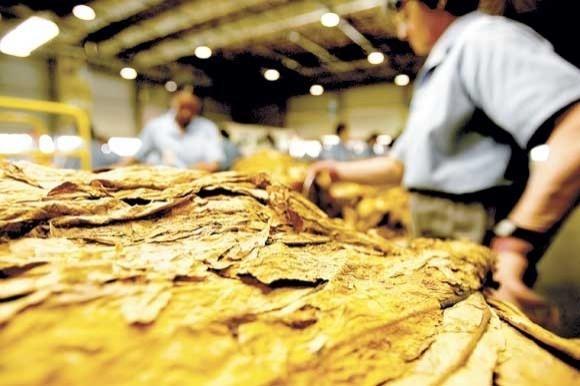 Negociação do preço do tabaco avança e protocolo de aumento foi assinado em 2,2% com a Souza Cruz