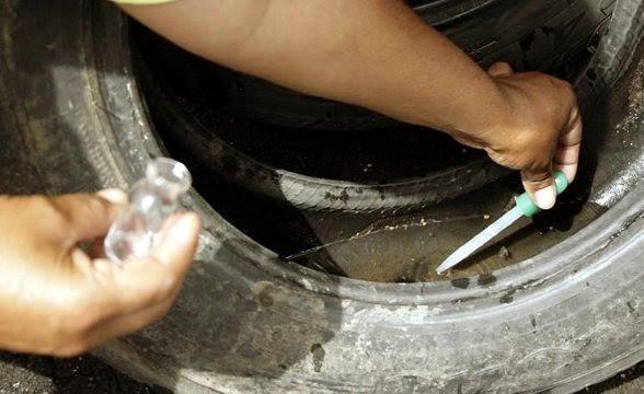 Petrolândia reforça fiscalização para evitar a proliferação do Aedes aegypti