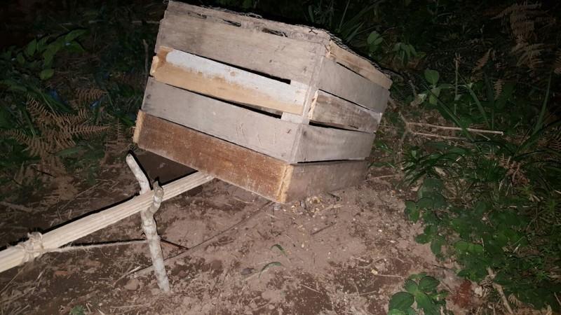 Polícia apreende arapuca para animais em propriedade no interior de Atalanta