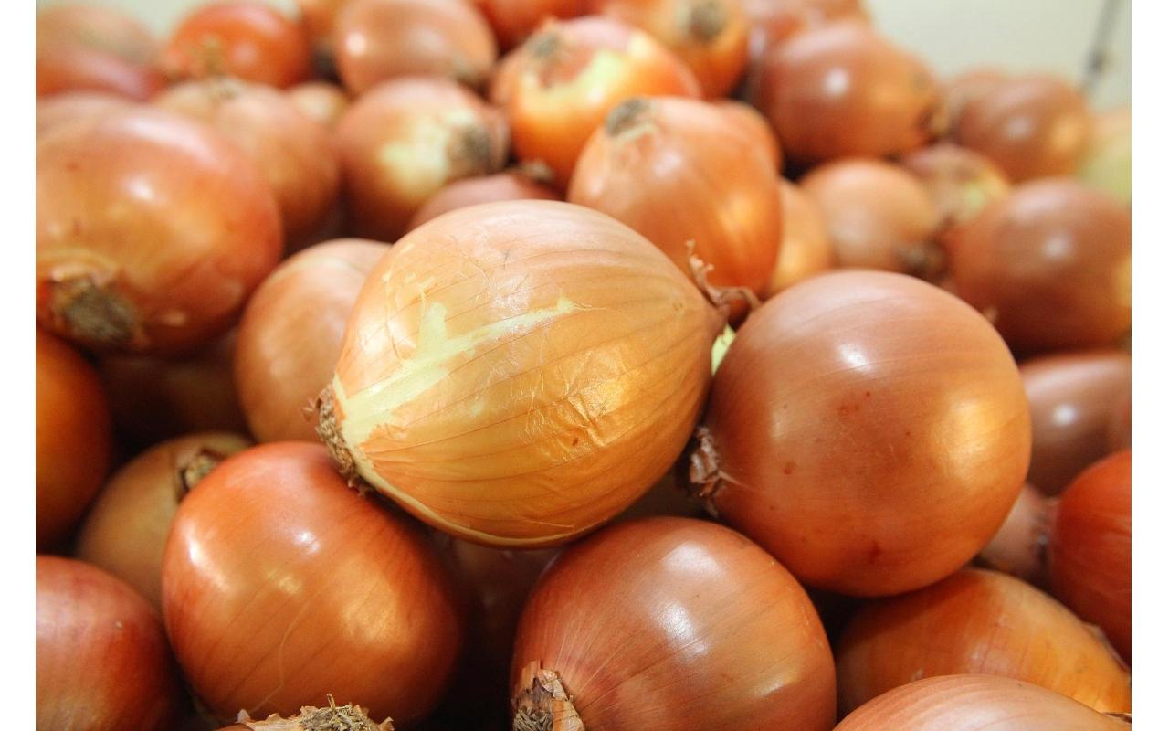 Preço do quilo da cebola passa de um real