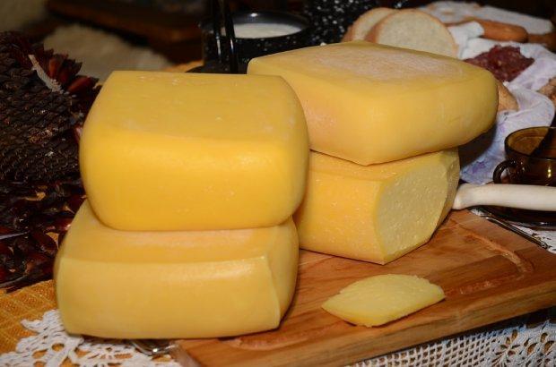 Produção de queijo artesanal no Alto Vale ganha incentivo com lei estadual