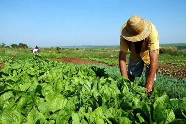 Produtores rurais pessoas jurídicas tem até esta quarta para pagar a contribuição sindical rural