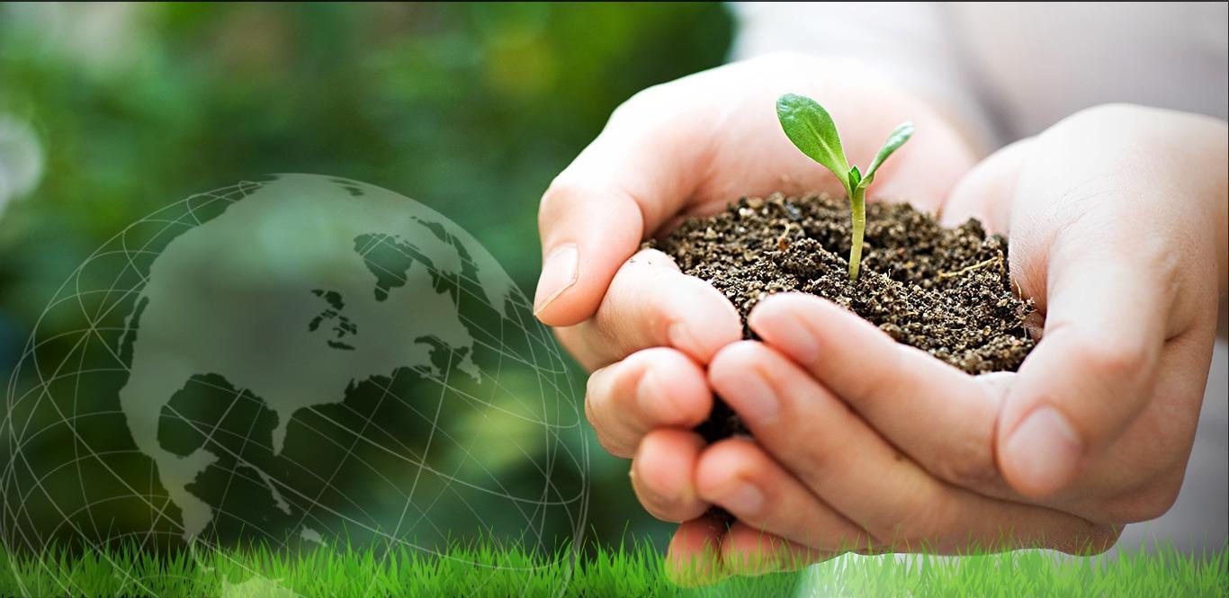 Projeto de Educação Ambiental deve ser desenvolvido nesse ano em escolas de Aurora