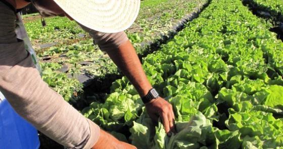 Seminário irá tratar temas voltados à Legislação Previdenciária e Tributária Rural em Vidal Ramos