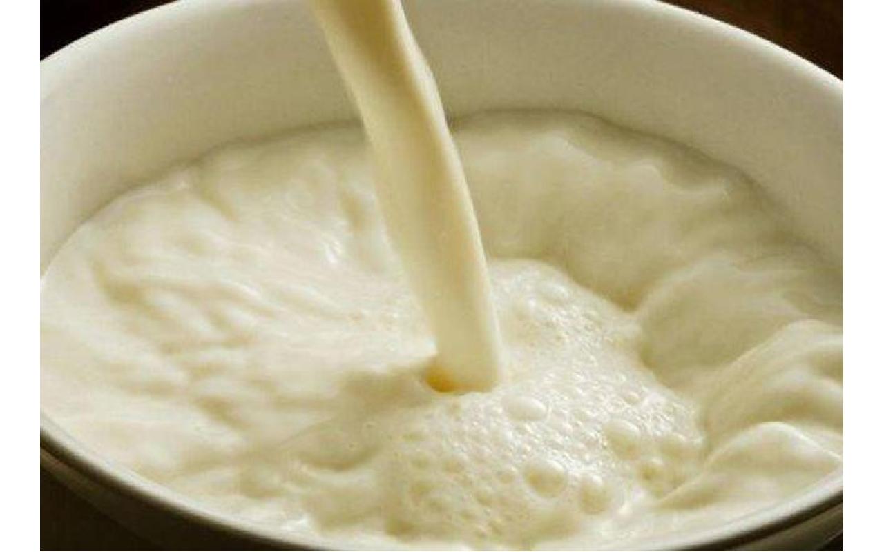 Suspensão da importação de leite do Uruguai traz esperança para produtores do Alto Vale