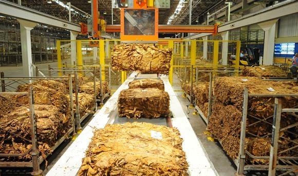 Termina sem acordo rodada de negociação para definição da nova tabela de preço do tabaco