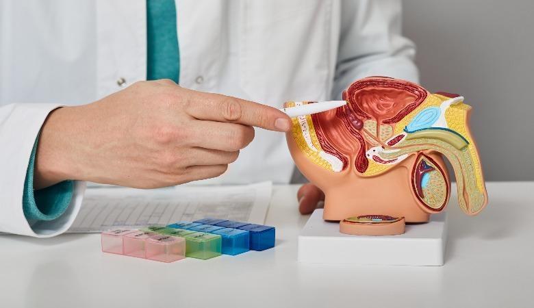 Novembro Azul: urologista alerta que prevenção da saúde masculina vai muito além da próstata