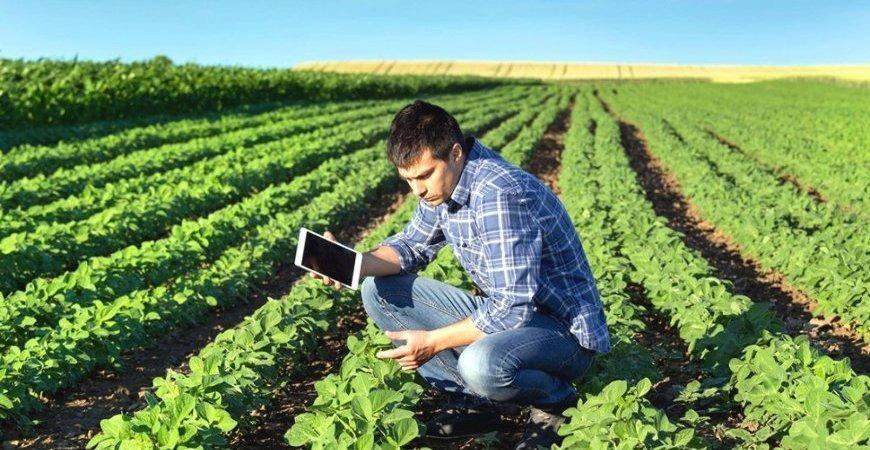 Organização pode garantir créditos tributários ao produtor rural