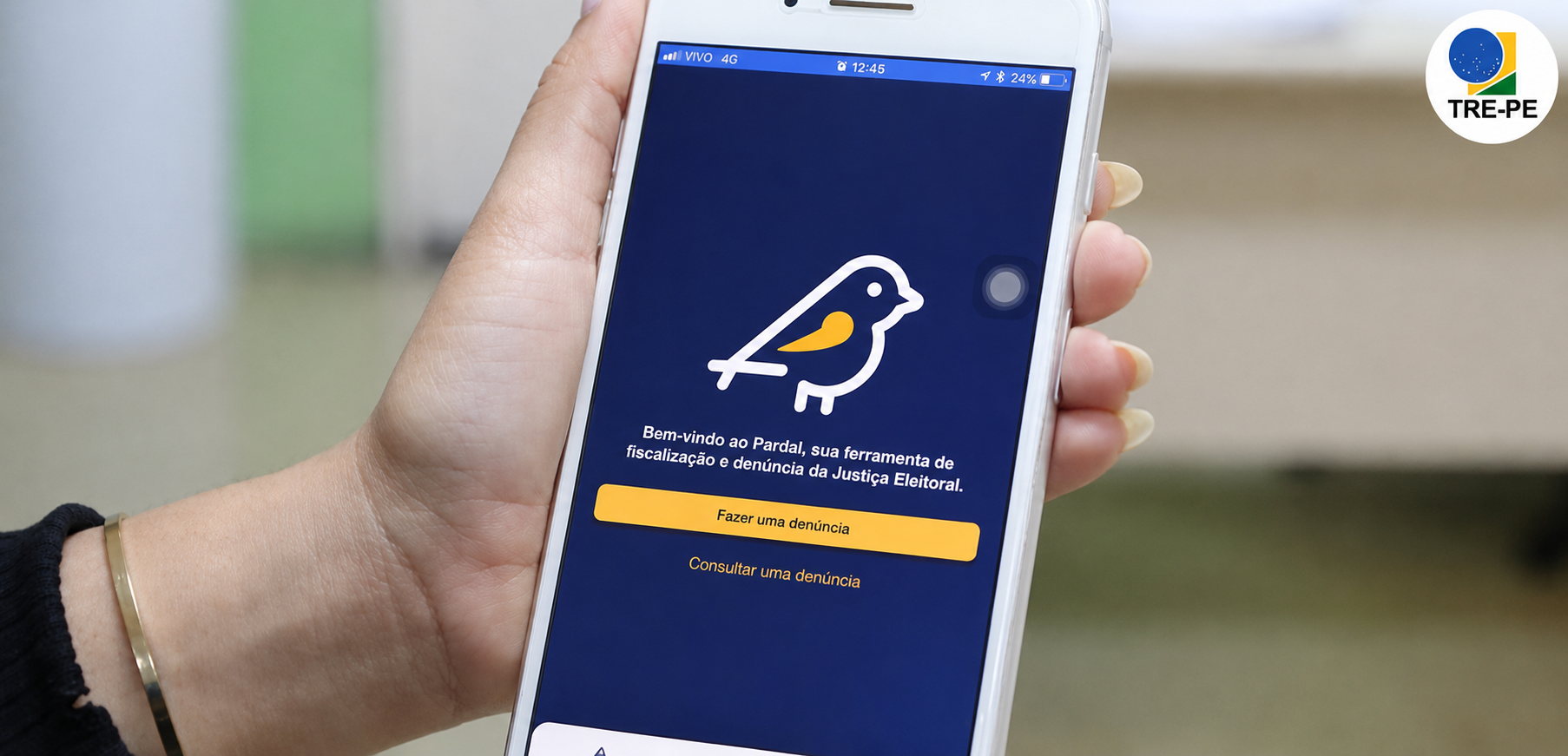 Pardal permite denunciar propaganda eleitoral irregular pelo celular