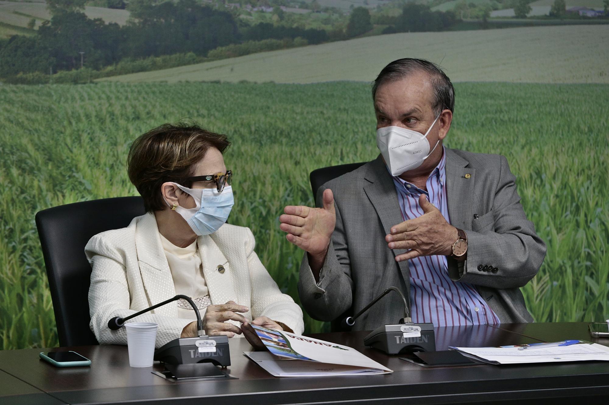Peninha leva pedido dos produtores de cebola e alho para a ministra Tereza Cristina 