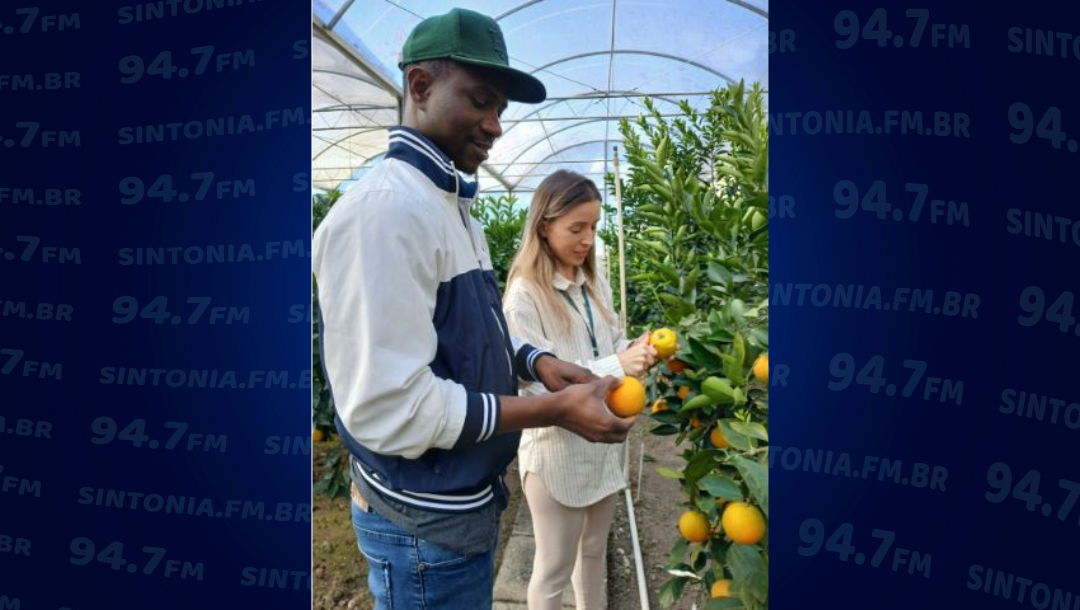 Pesquisador de Guiné-Bissau visita Alto Vale para conhecer tecnologias em viveiros