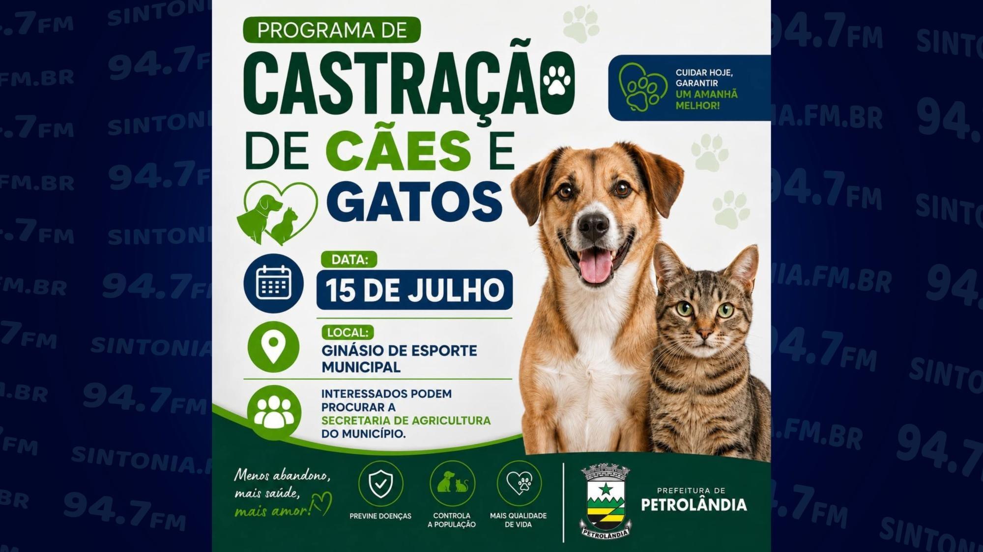 Petrolândia reforça manutenção de estradas e promove campanha de castração