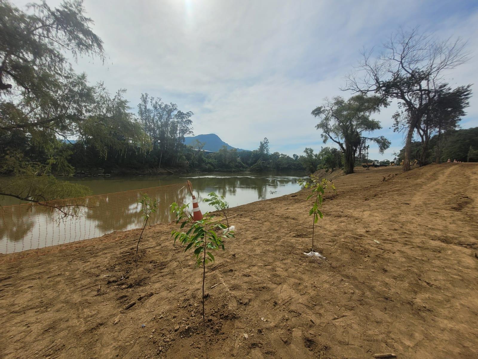 Plantio de árvores e serviços de limpeza avançam na prevenção contra cheias em Rio do Sul