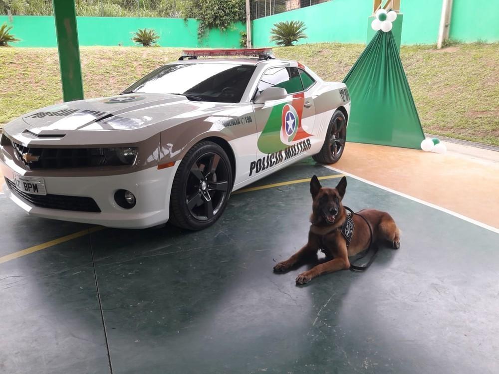 PM de SC transforma Camaro apreendido em viatura policial