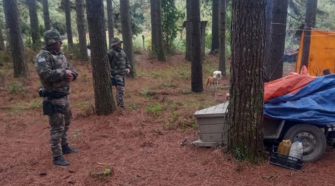 Polícia Ambiental encontra animal silvestre morto e espingarda de pressão em acampamento no interior de Bom Retiro