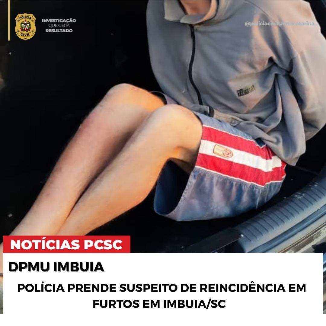 Polícia Civil de Imbuia prende homem suspeito de série de furtos em Campo das Flores