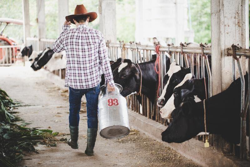 População do campo cresce e jovens encontram oportunidade de trabalho no agronegócio