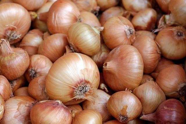 Preço da cebola tem uma das maiores oscilações já registradas na região 
