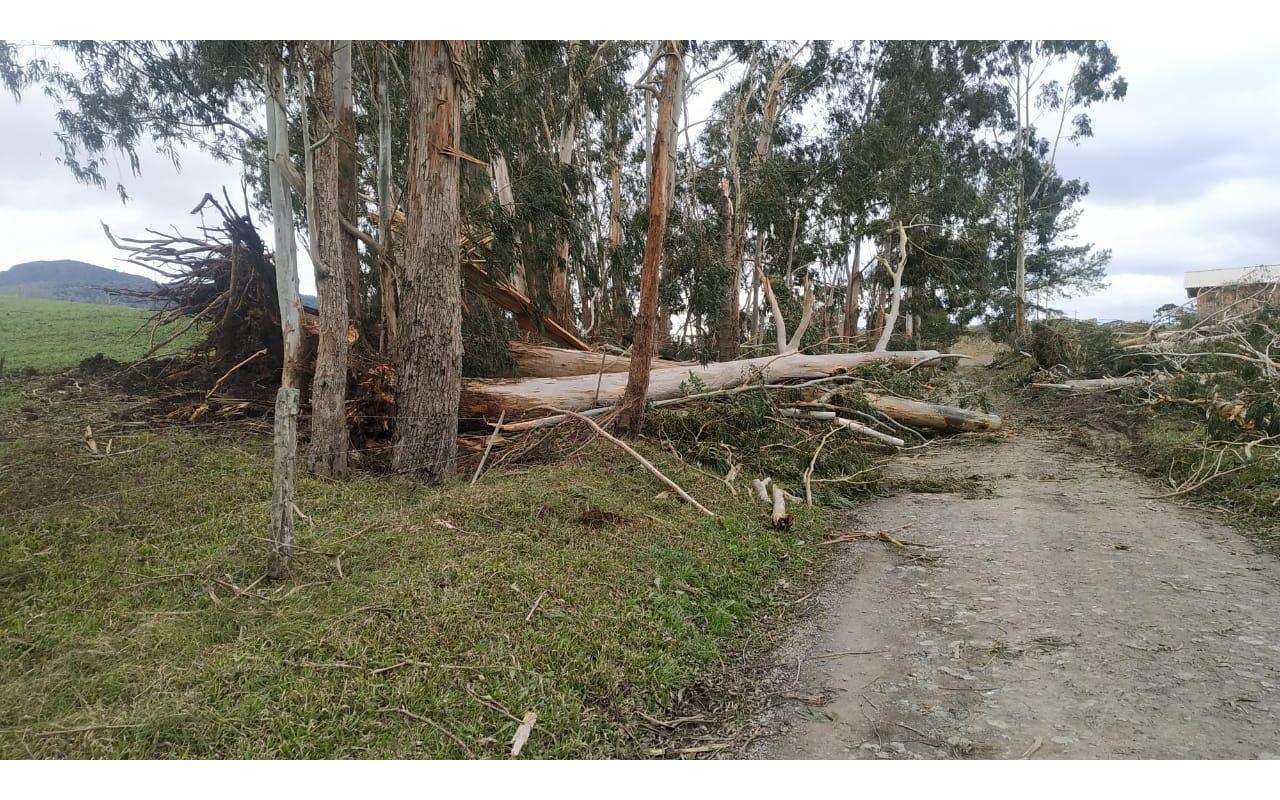 Prefeito de Bom Retiro orienta moradores sobre árvores que caíram com "ciclone bomba"