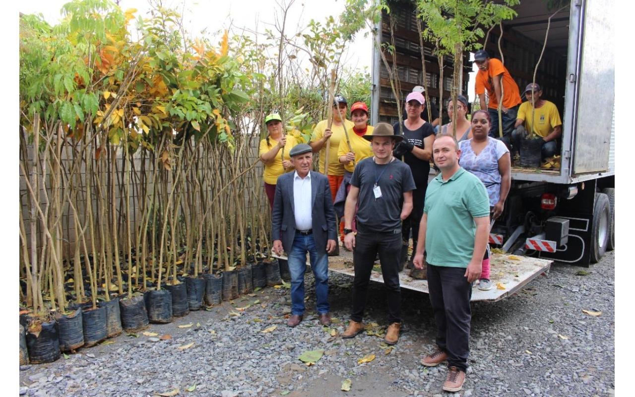 Prefeitura de Ituporanga vai plantar 5 mil mudas de árvores pela cidade