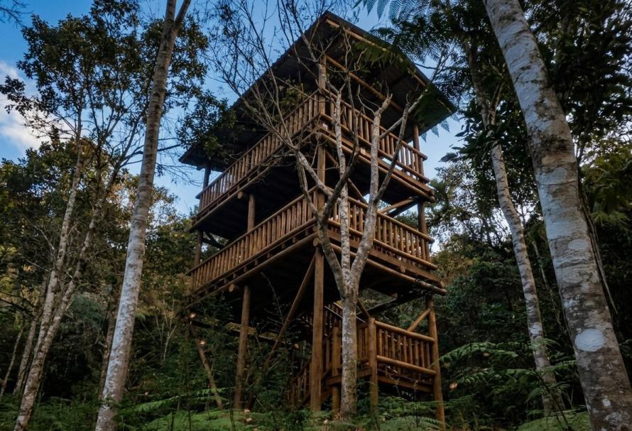 Prefeitura de Rio do Sul vai inaugurar torre de observação de aves no Jardim Botânico