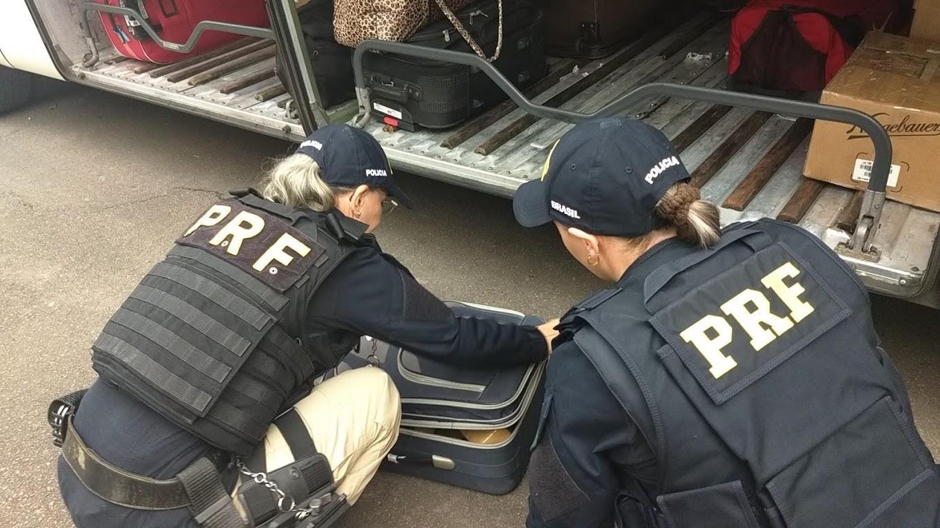 PRF apreende adolescente com mais de 5 kg de maconha em ônibus
