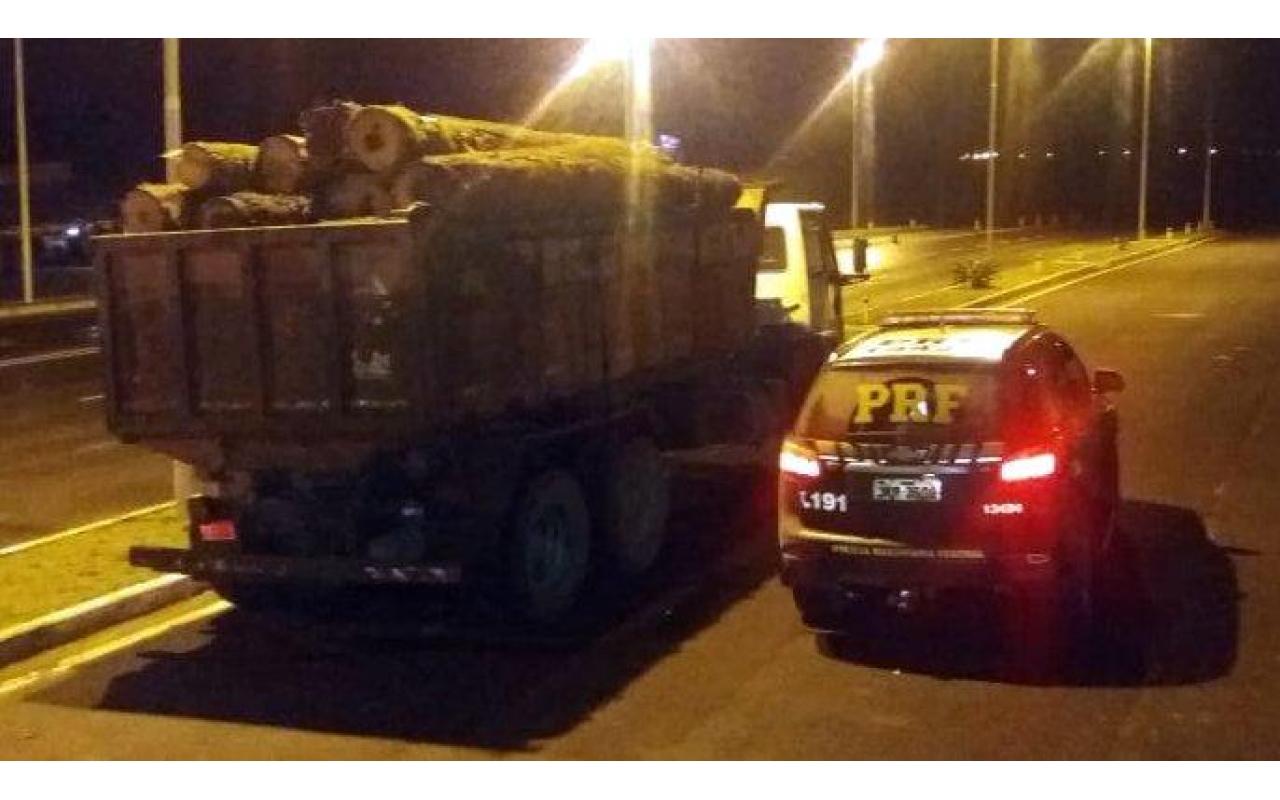 PRF apreende toras de araucária transportadas ilegalmente e prende motorista por crime ambiental no planalto catarinense