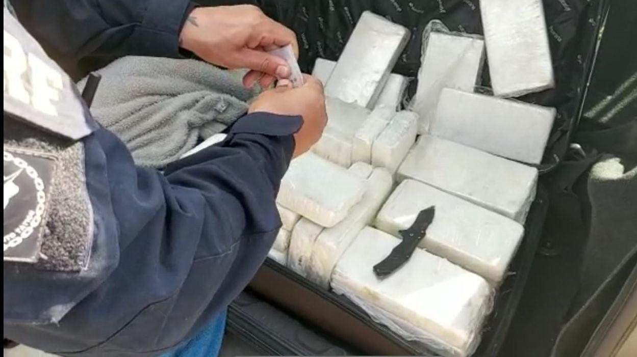 PRF de SC apreende carga milionária de cocaína depois de homem tentar fugir da fiscalização 
