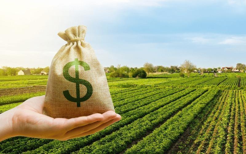 Produtores terão prazo de 11 meses para pagamento de financiamentos 