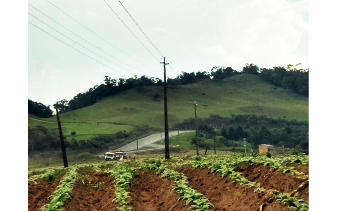 Programa Celesc Rural conclui substituição de 200 quilômetros de cabos protegidos na região de Ituporanga 
