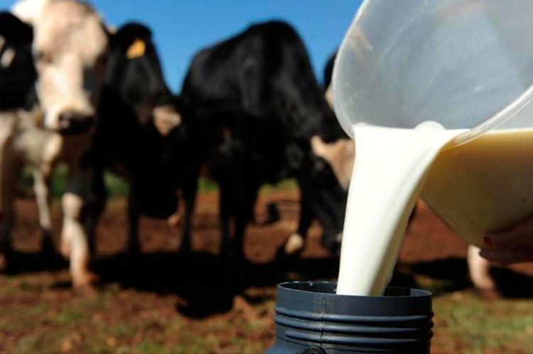 Programa de Assistência Técnica e Gerencial será apresentado para produtores de leite de Petrolândia